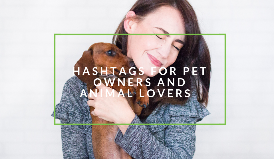 Hashtags for pet owners